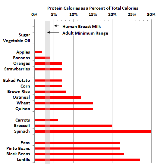 Protein Chart